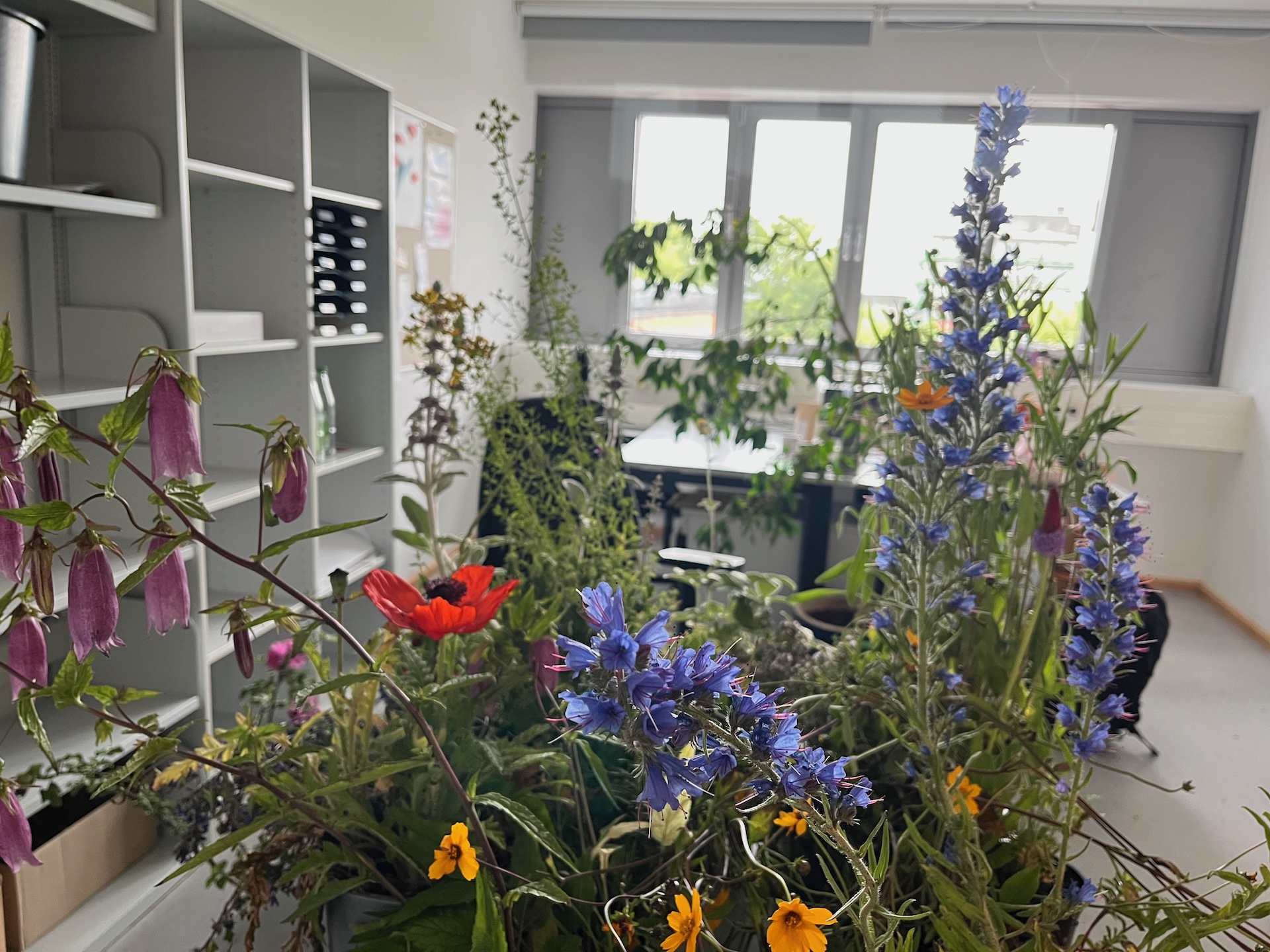 Stauden-Takeover im Büro