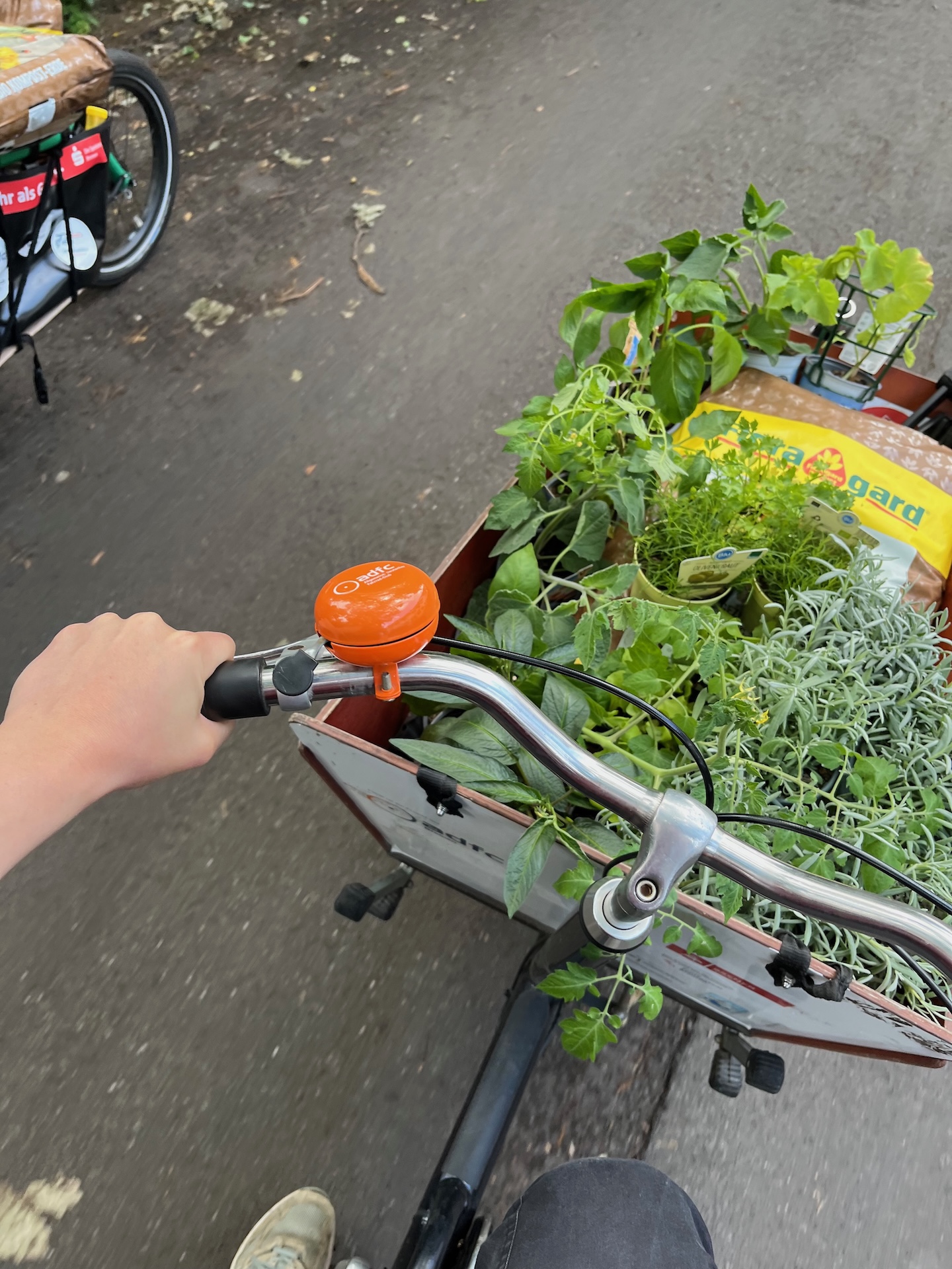 Pflanzentransport