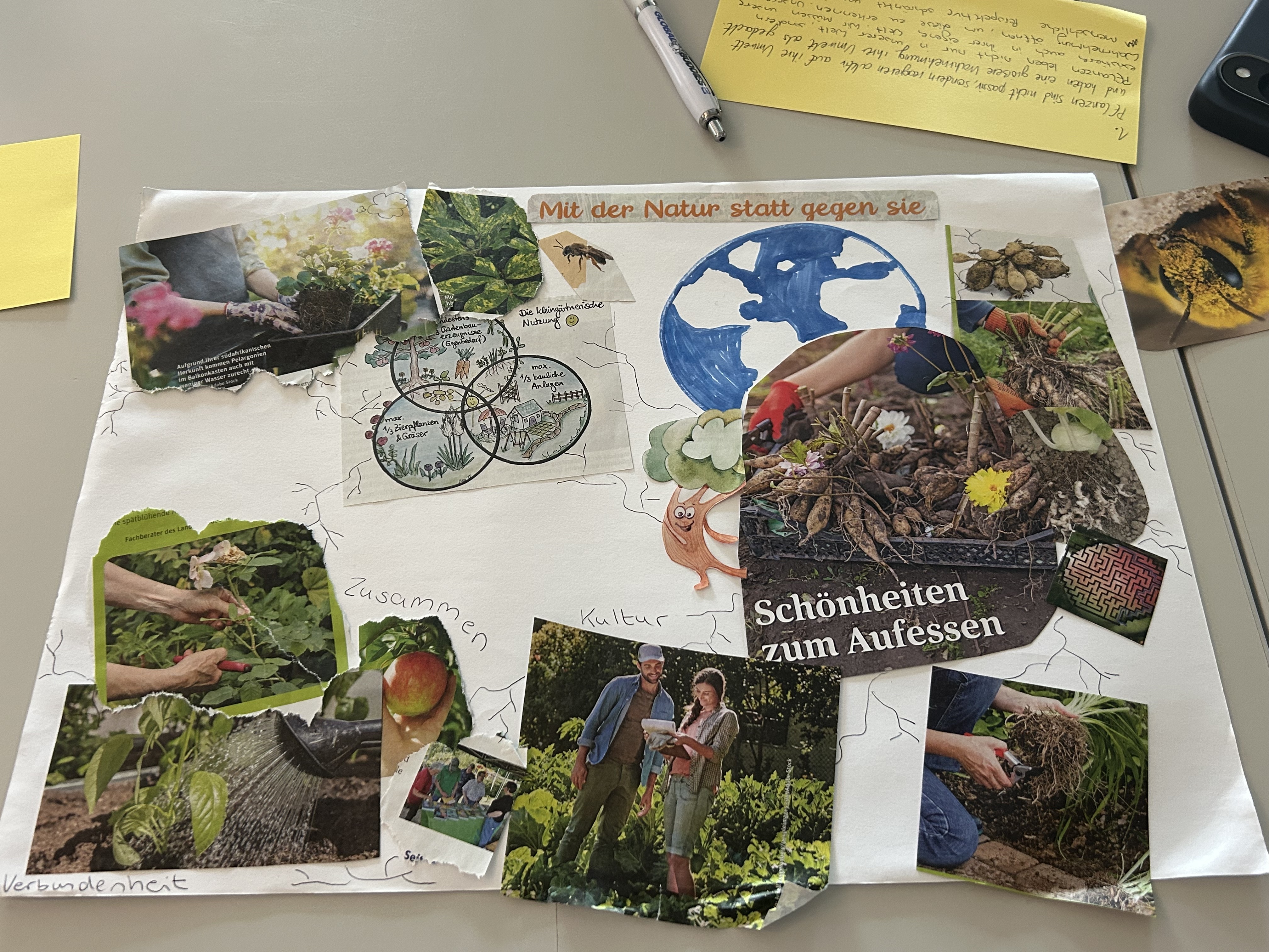 Collage zu dem Kapitel ,,Wood Wide Webs'' aus dem Buch ,,Ways of Being'' von James Bridle
