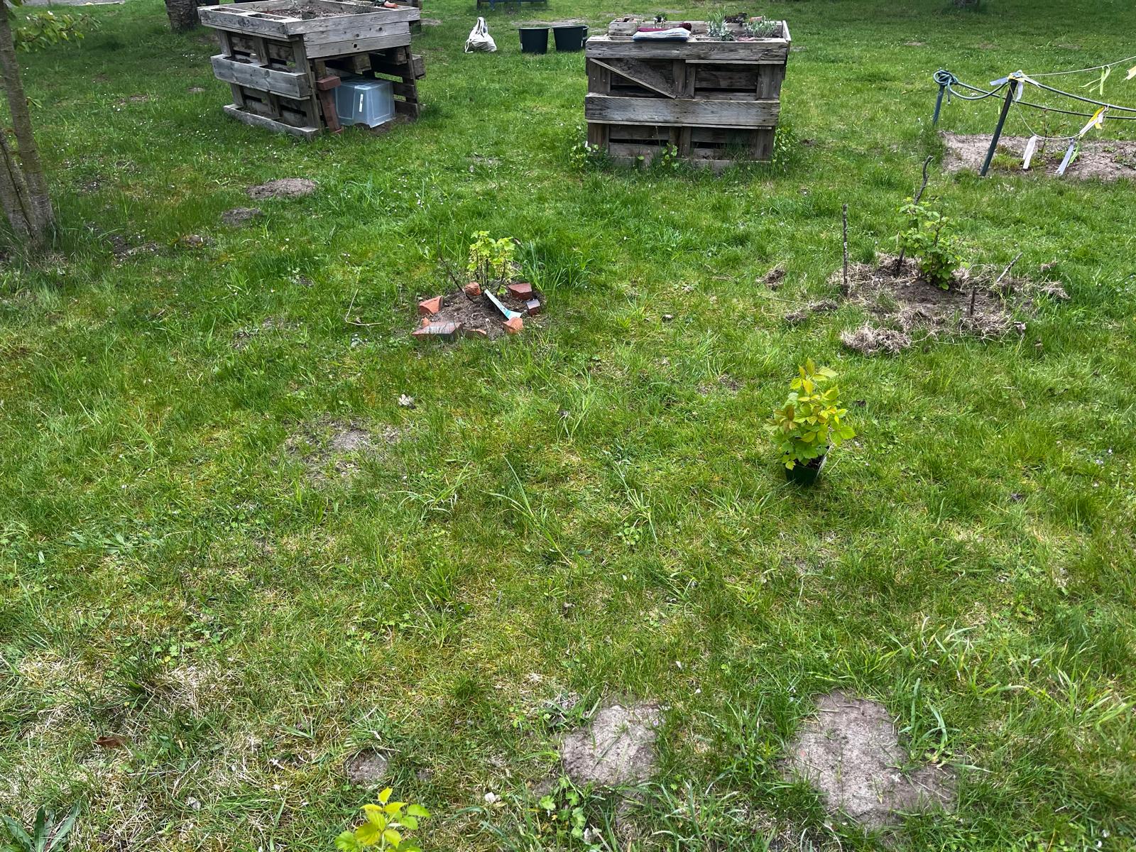pflanzen im April