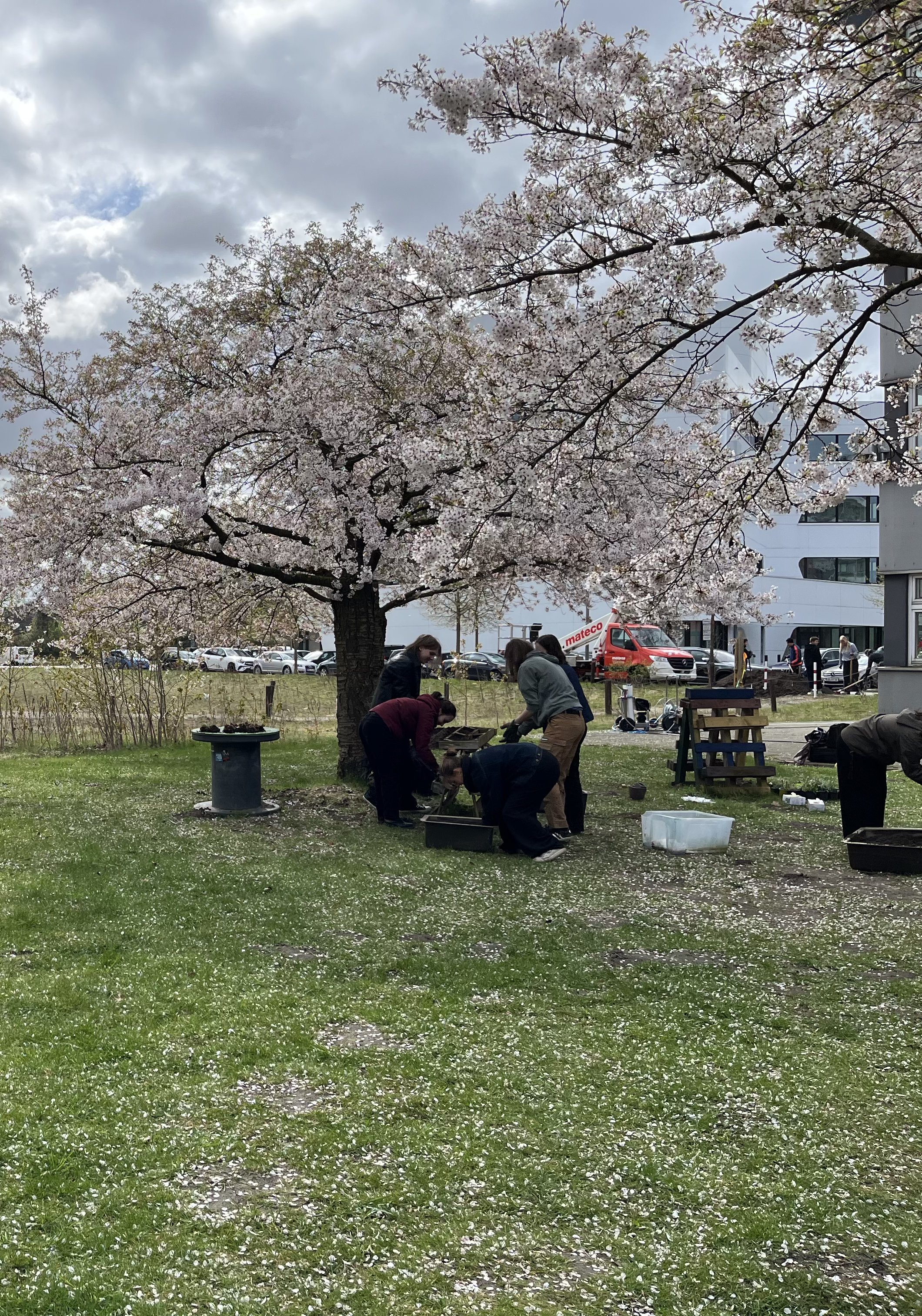 Semesterstart im Kompass-Garten
