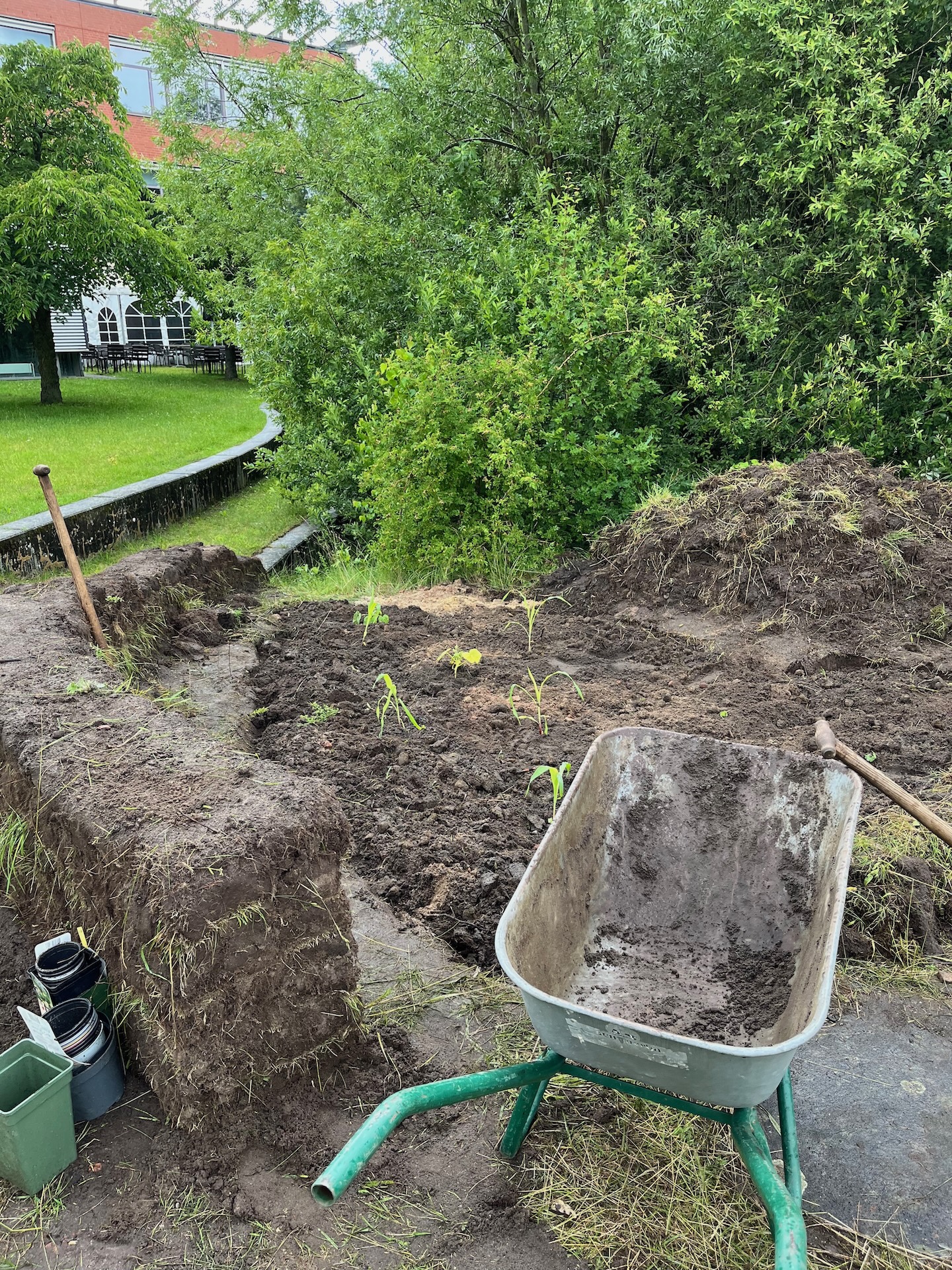 Milpa-Beet und Mauer aus Grass-Soden